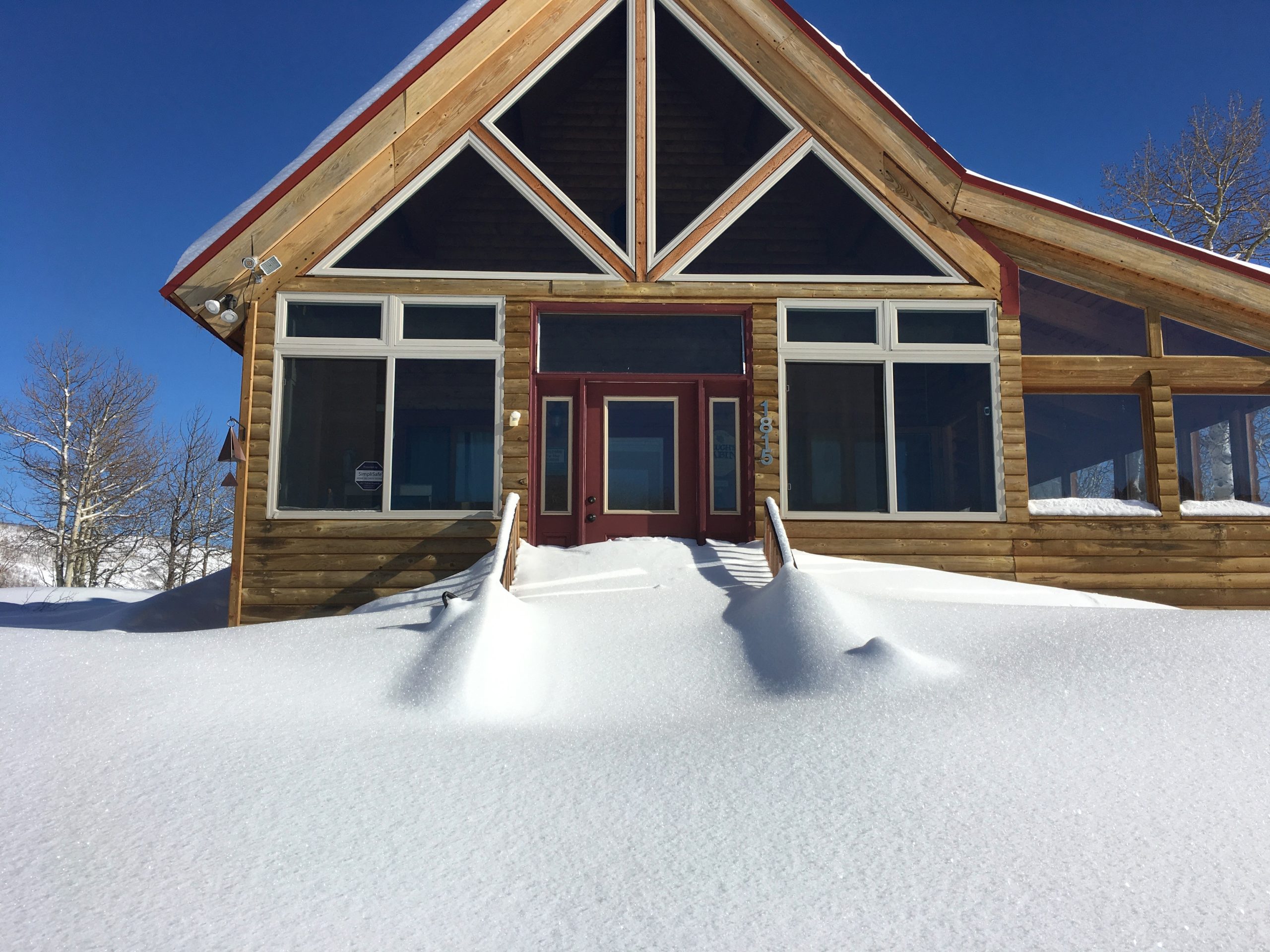 log homes luxury showers