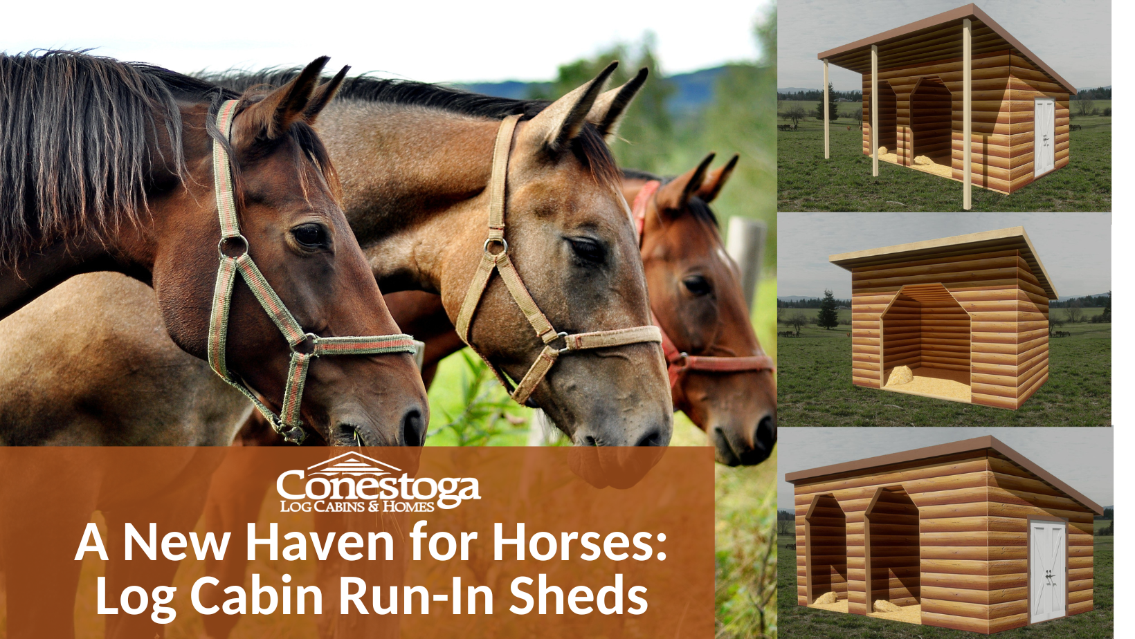 A New Haven for Horses: Log Cabin Run-In Sheds - Log Cabin Kits | Log  Buildings | Custom Log Cabins, image size:1640x924