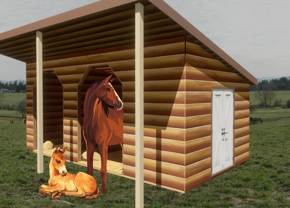 premium horse sheds